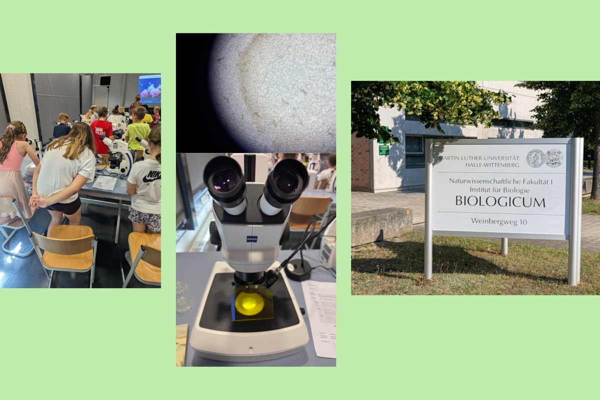 Titelbild für Beitrag: Unser Besuch an der Kinderuni