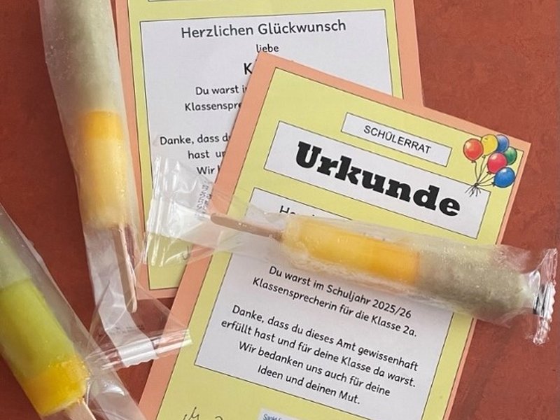 Titelbild für Beitrag: Jahresabschluss des Schülerrats