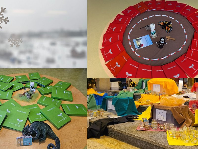 Titelbild für Beitrag: Das 1. Halbjahr ist vorüber