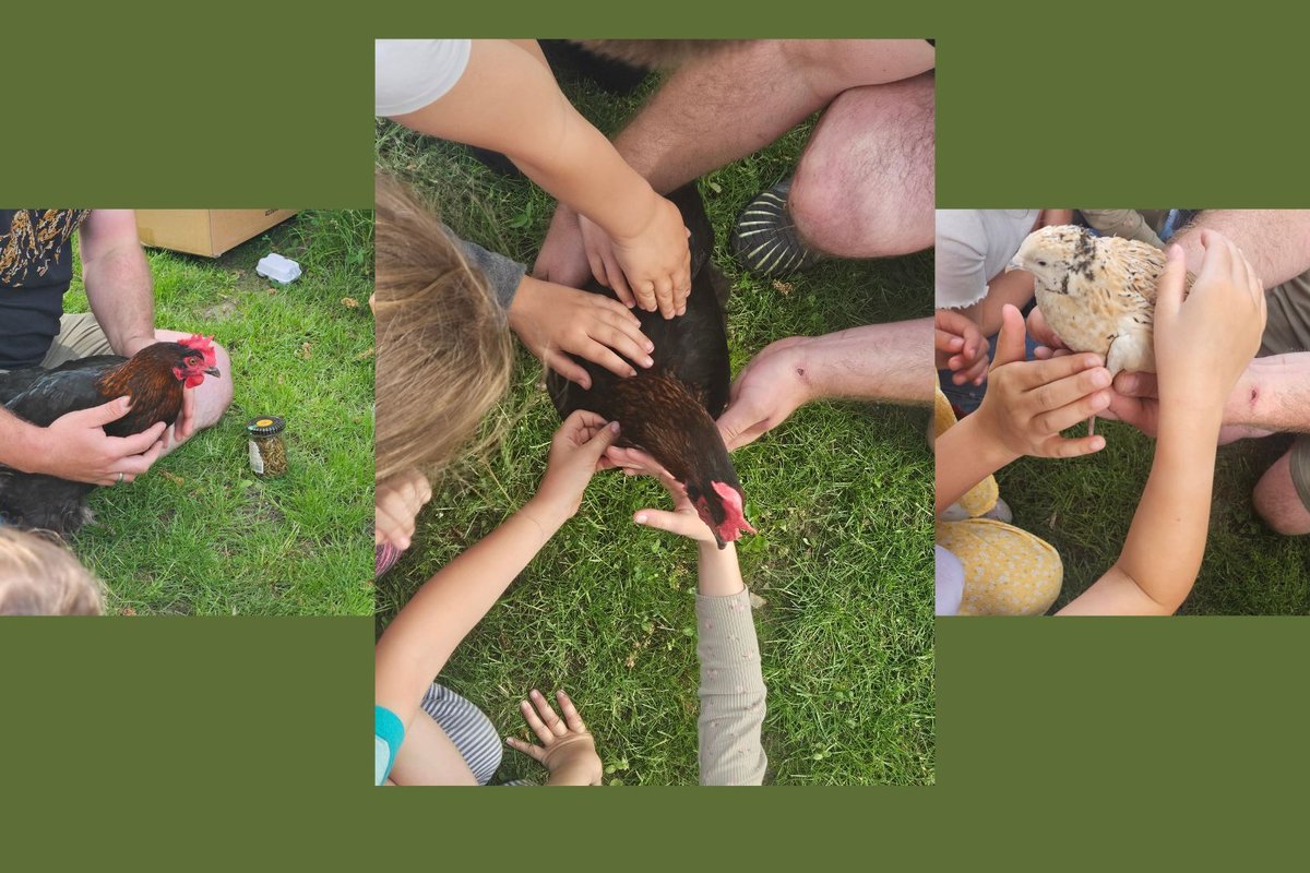 Titelbild für Beitrag: Ein Huhn zu Besuch