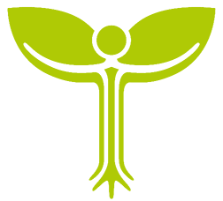 Logo Icon: Edith-Stein-Schulstiftung